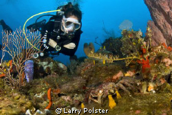 Roatan diver looking at crab, D300, Tokina 10-17 lens by Larry Polster 